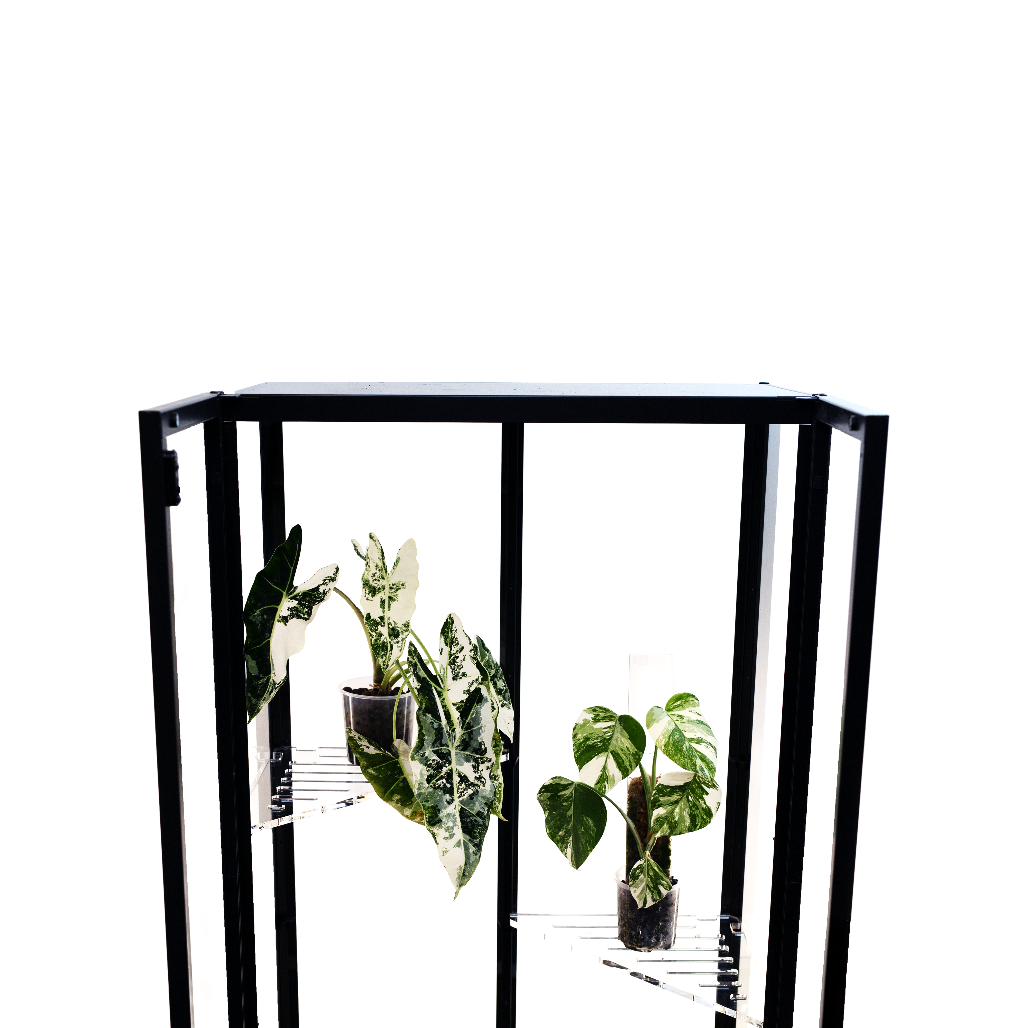 Acrylic Corner Shelf for IKEA Milsbo Tall Greenhouse