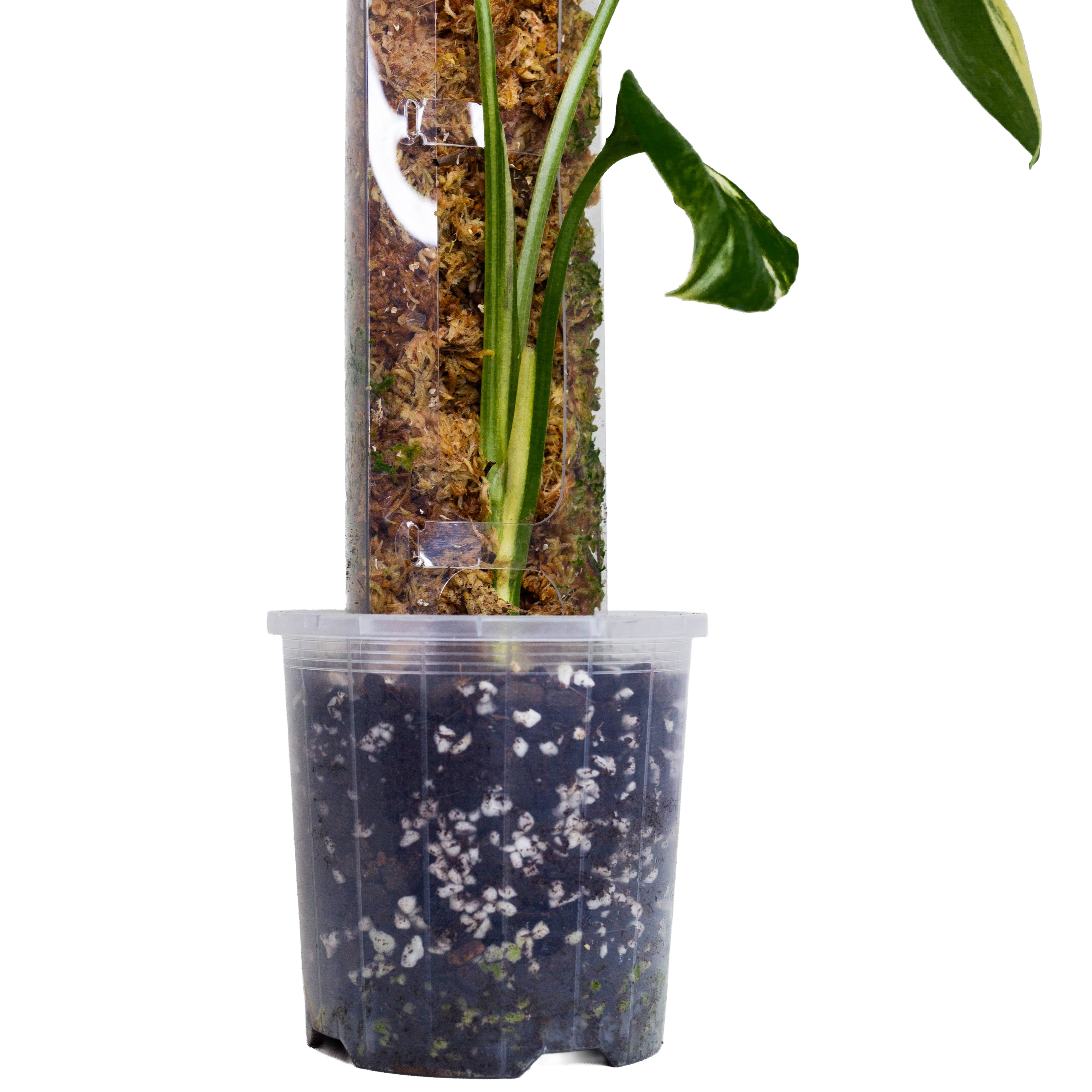 Front Opening Moss Poles