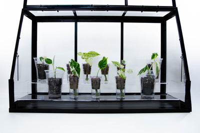 Acrylic Display Rack Riser