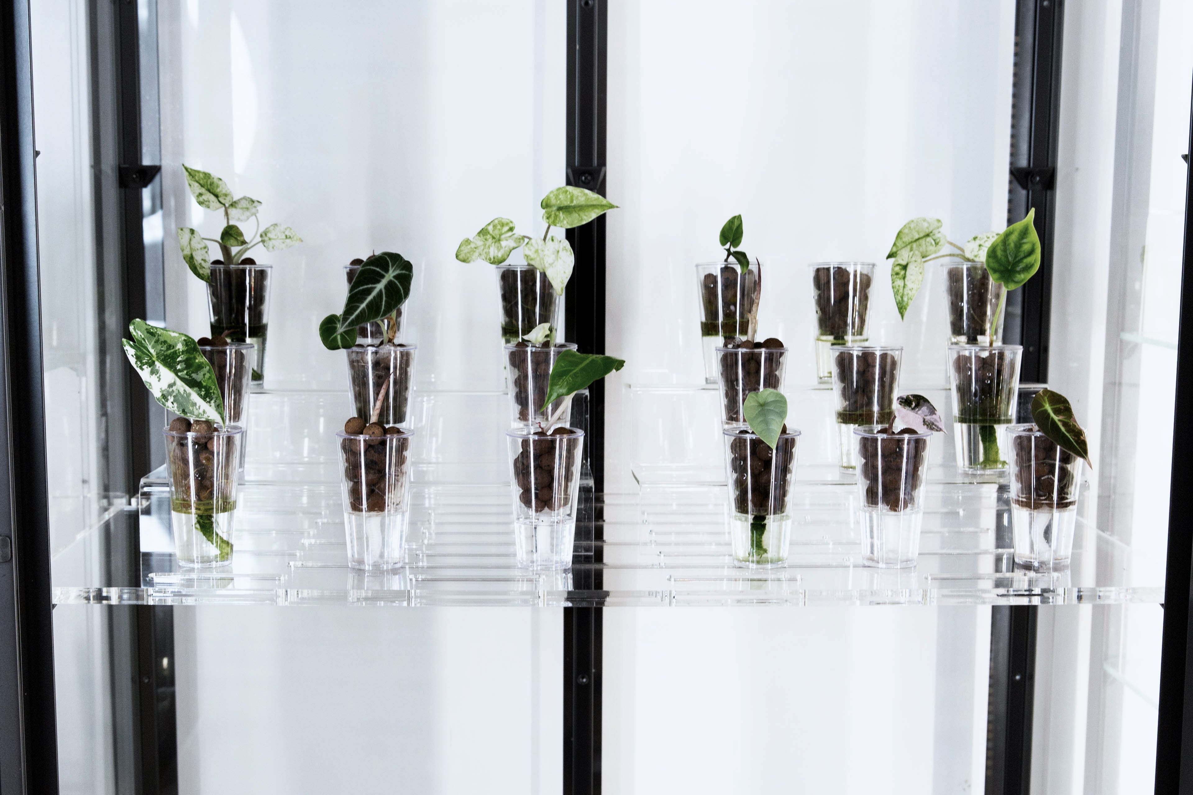 Acrylic Display Rack Riser