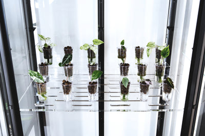 Acrylic Display Rack Riser