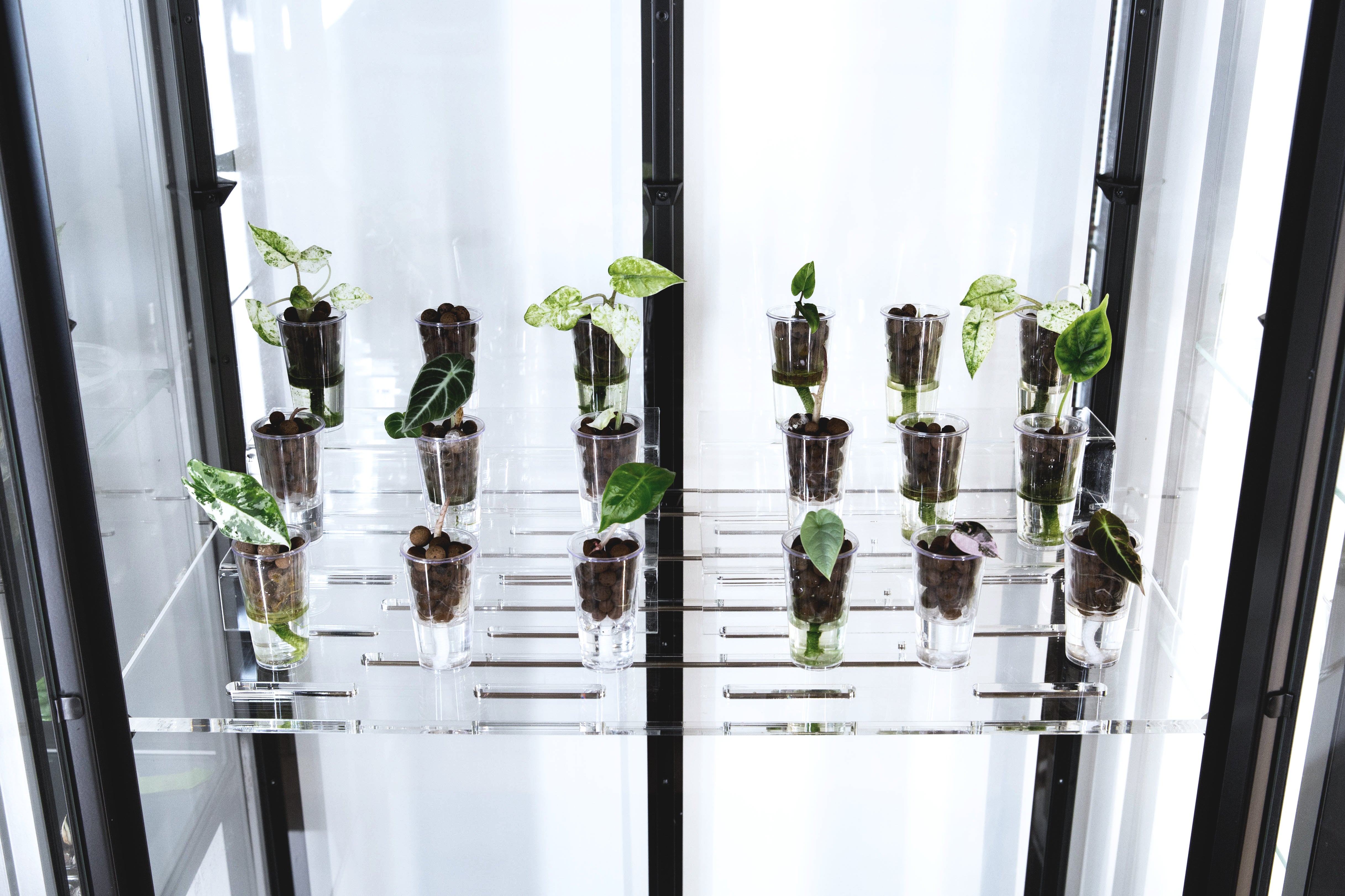 Acrylic Display Rack Riser
