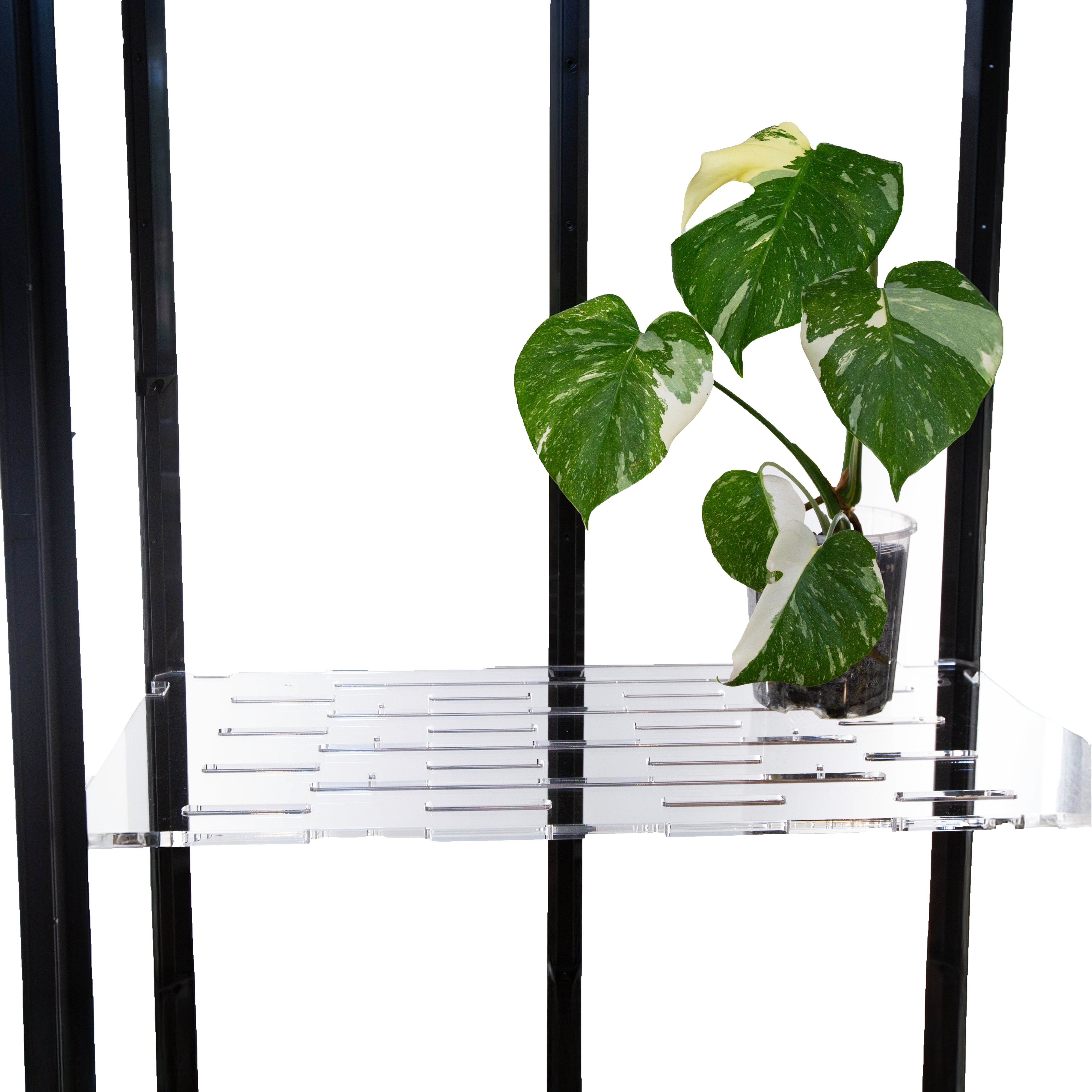 Acrylic Full Shelf for IKEA Milsbo Tall Greenhouse